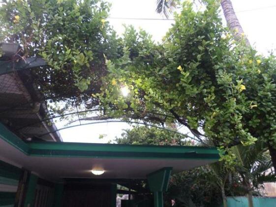 Green Inn Jaffna - Photo2