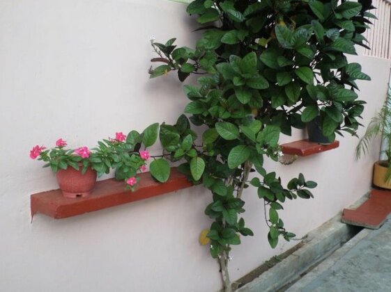 Western Park Guest House - Photo3