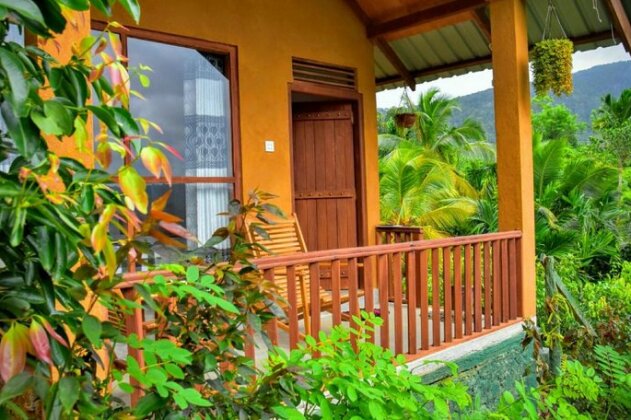 Rainforest Nature House - Photo2