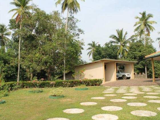 Shaun Garden - Photo4