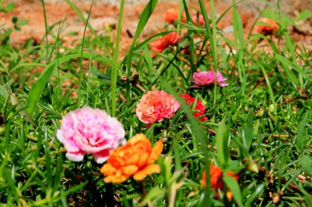 Seasons Villa - Photo2