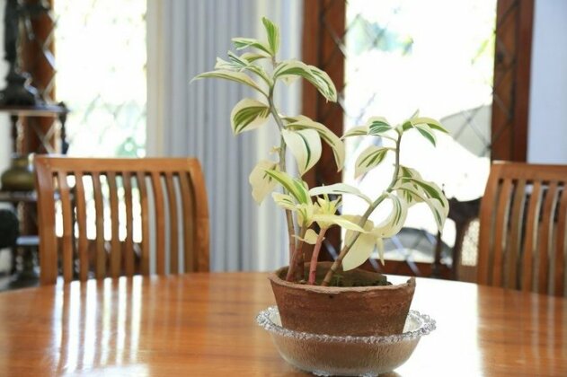 241 Daphnne's Cottage - Photo2