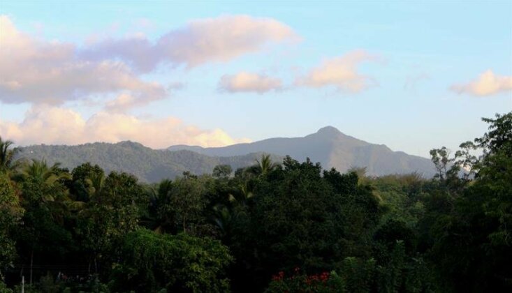 Grandpa Holiday Home - Photo5