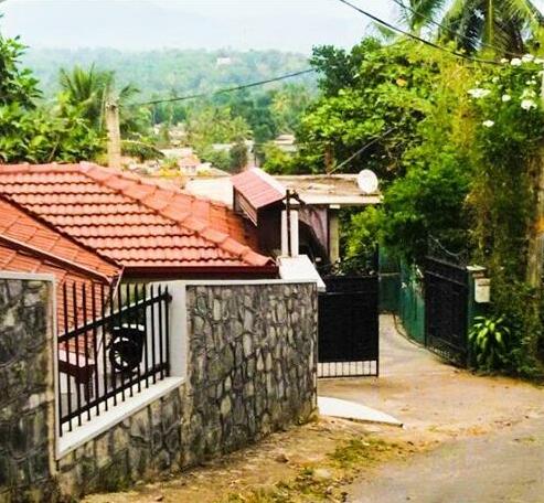 Hill View Homestay