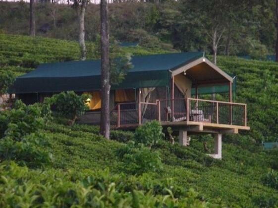 Madulkelle Tea and Eco Lodge - Photo2