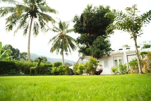 Organic Villa - Photo4