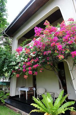Royal Tourist Lodge - Photo2