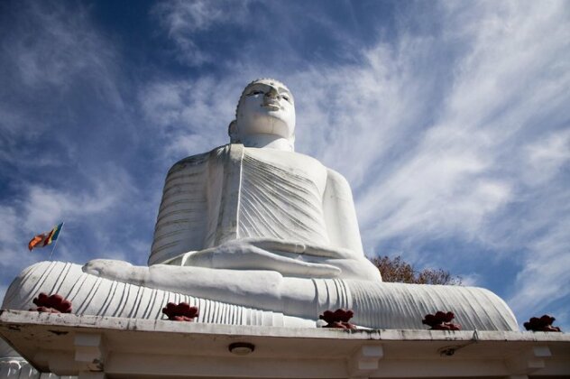 White Camelot - Photo5