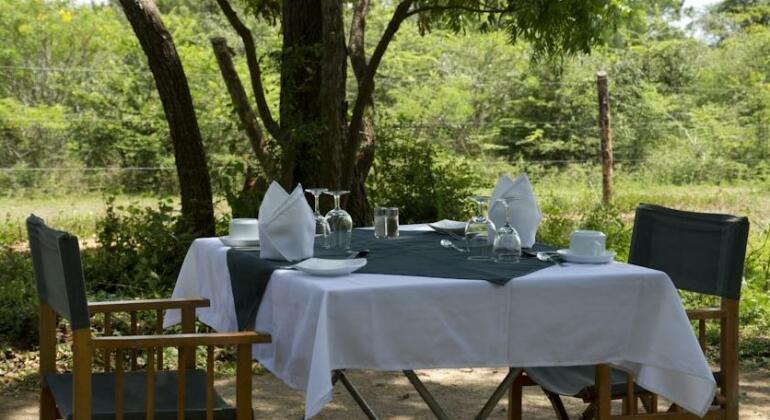 Big Game Camp Yala - Photo3