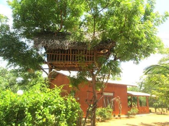 Kataragama Elephant View Bungalow - Photo5