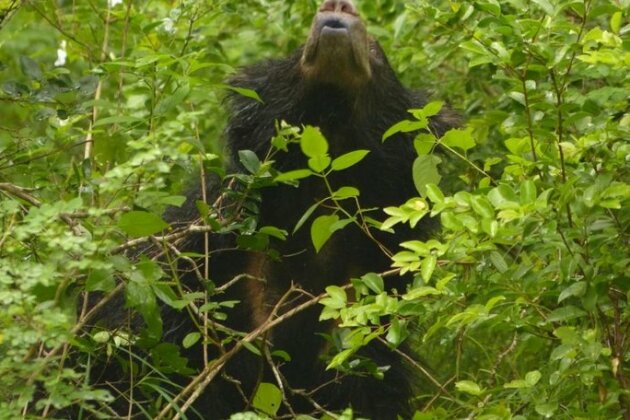 Suduweli Beauties of Nature - Photo2
