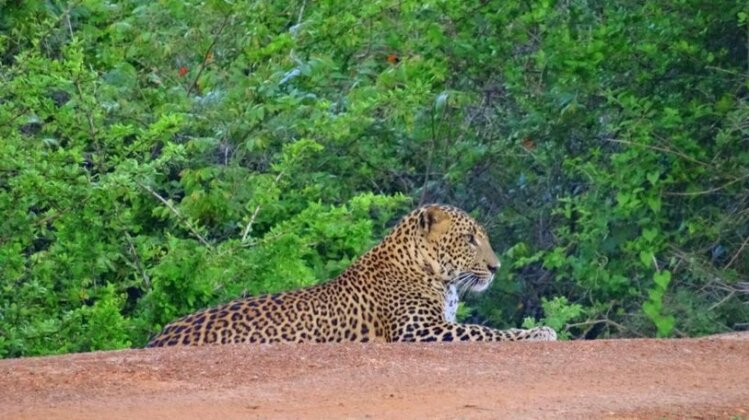 Suduweli Beauties of Nature - Photo3
