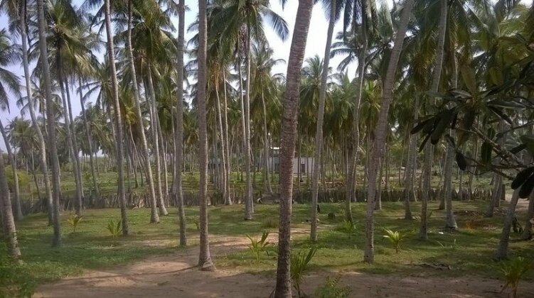 Yala Redhill - Photo3