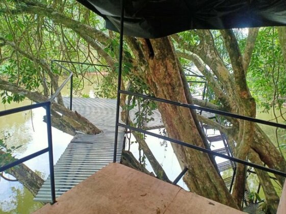 Jungle Tree House - Photo3