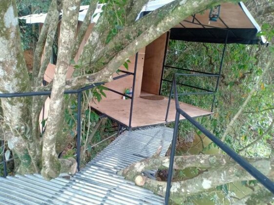 Jungle Tree House - Photo4