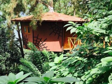 The Tree House Kitulgala
