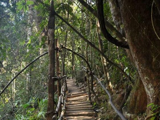 Kanneliya Mount Resort - Photo2