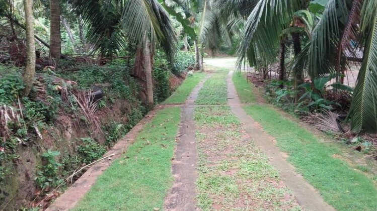 Nature Resort- Polhena Habaraduwa - Photo3