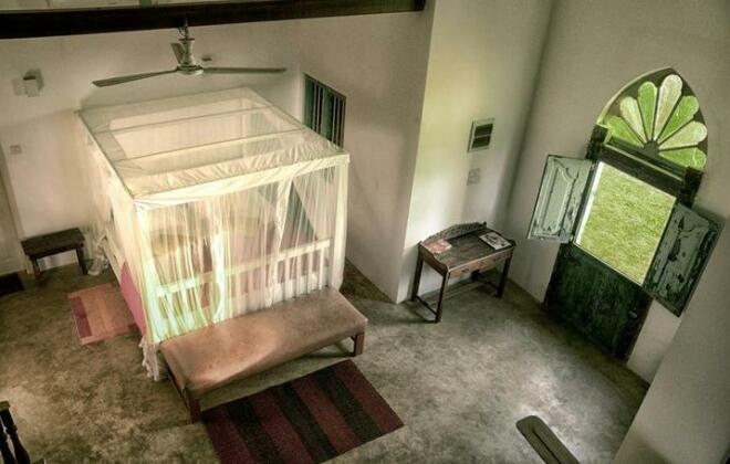 Octopus Reef Beach House - Photo4
