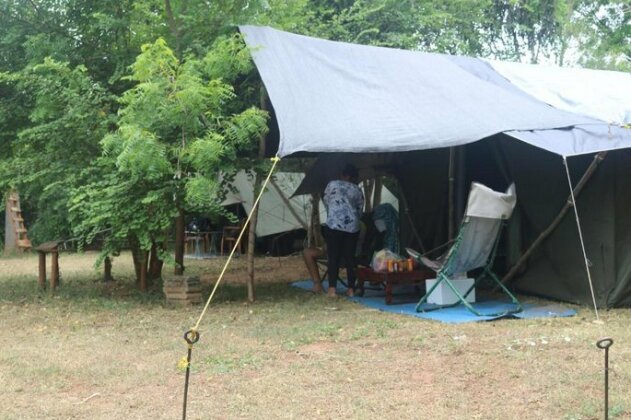 Dev's Campground - Tented Safari - Photo4