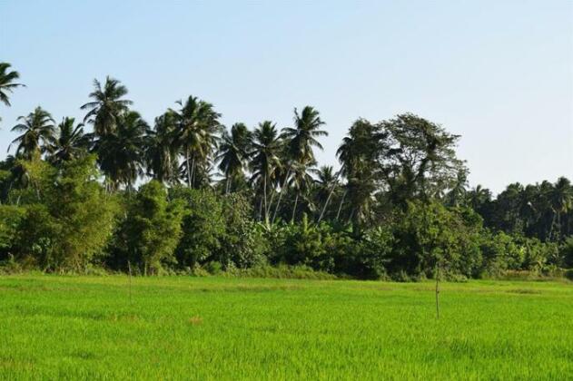 Thambili Adventure Resort - Photo2