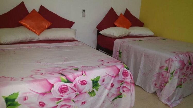 Thambili Adventure Resort - Photo4
