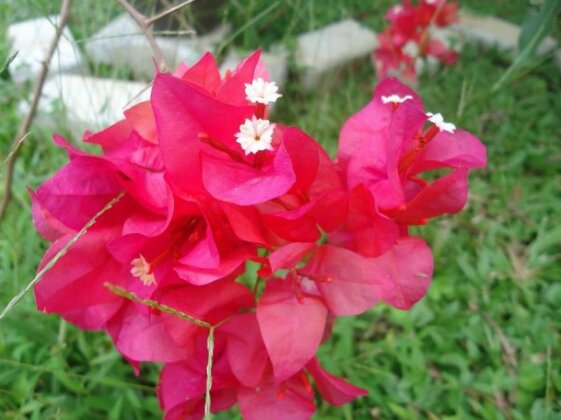 1 And 1 - Photo4