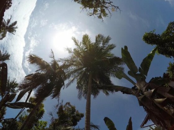 Bimanjee Mango Resort - Photo3