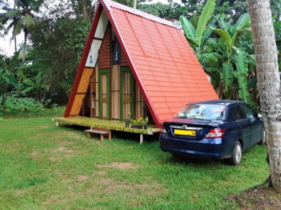 Surfing Bee Ecoly Cabana - Photo5