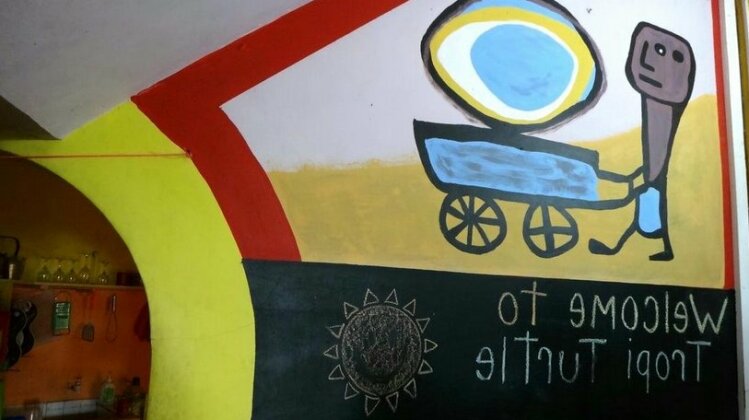 Tropi Turtle Hostel - Photo3
