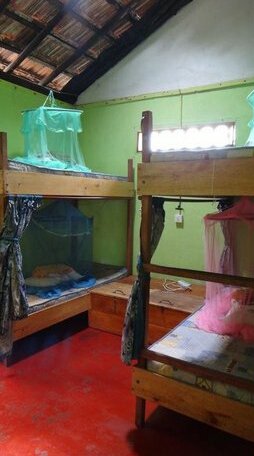 Tropi Turtle Hostel - Photo4