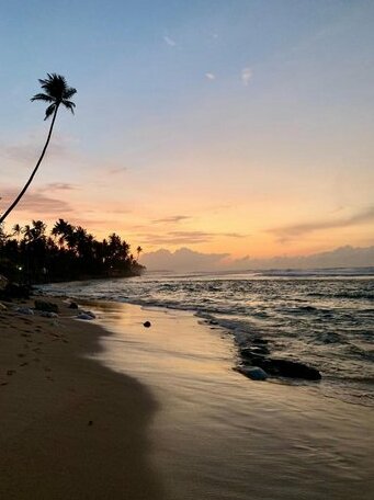Turtle Bay Resort Polhena - Photo2