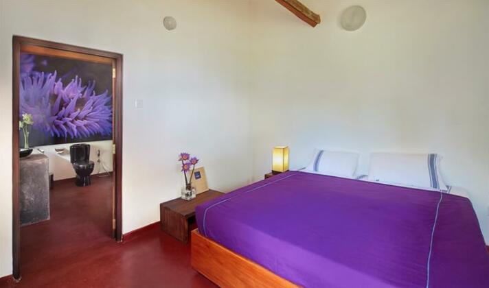 Turtle Eco Beach - Photo3