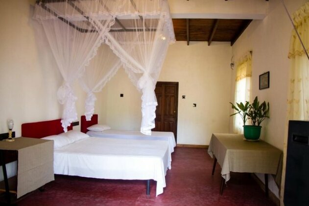 Hotel La Felicita Mirissa - Photo4