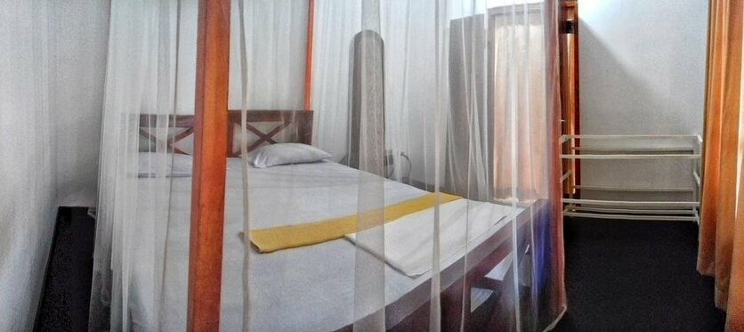 Serene Guest - Photo5