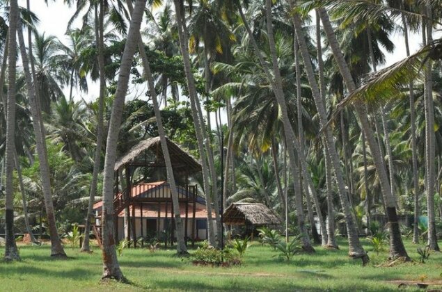 Blue and Green Resort - Photo2