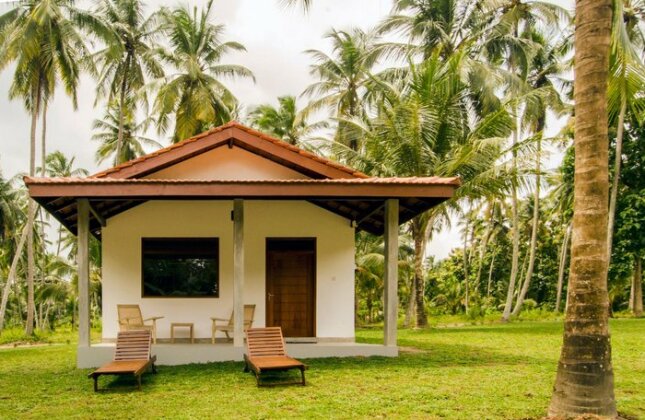 Ambarella Lodge - Katunayake