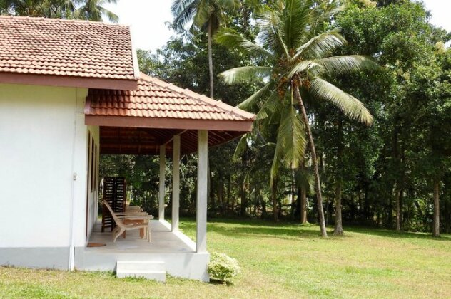 Ambarella Lodge - Katunayake - Photo2