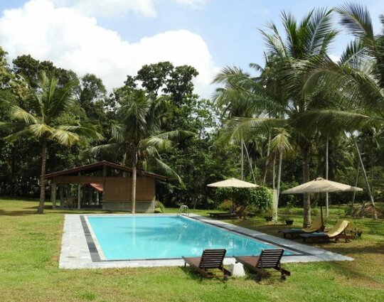 Ambarella Lodge - Katunayake - Photo3