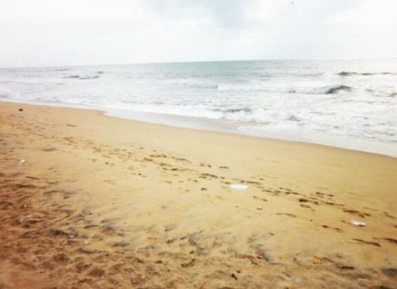 Beach Monkey@Colombo Airport Negombo - Photo2