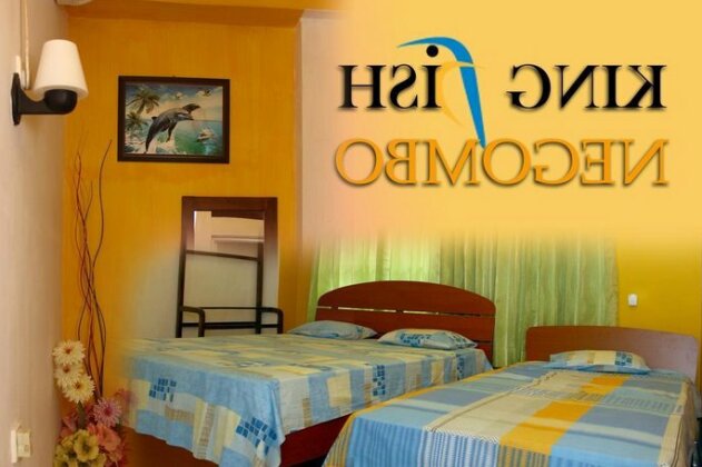 King Fish Guest House - Photo4