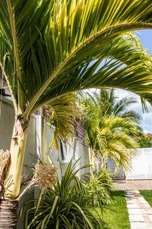 Lighthouse Residence Negombo - Photo2