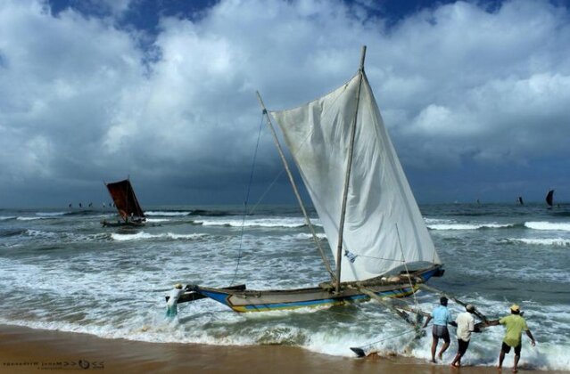 Sea Wings Lanka Negombo - Photo3
