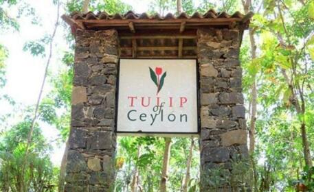 Hotel Tulip Of Ceylon