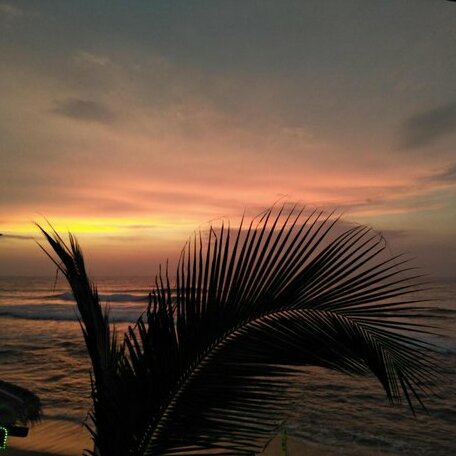 Eastwind Surf Camp - Photo2