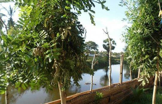 Panama Village Resort - Photo2