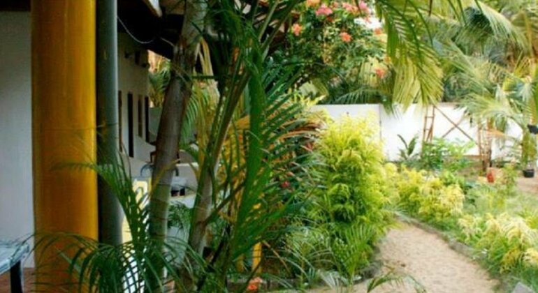 Tharaka Surf Guesthouse - Photo3