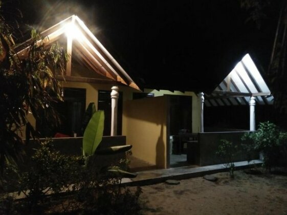 Tortoise guest house - Photo4