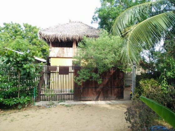 Tortoise guest house - Photo5