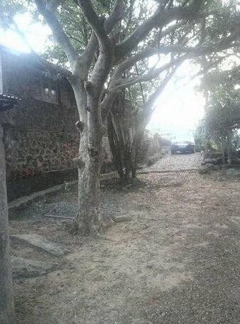 Little Heaven Rakwana - Photo2